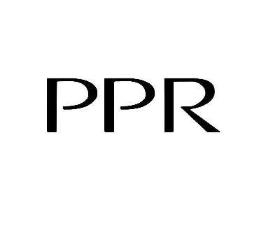 PPR商标异议复审