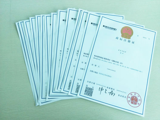 申请商标无效