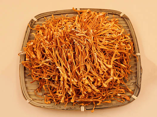 虫草花商标注册哪一类？