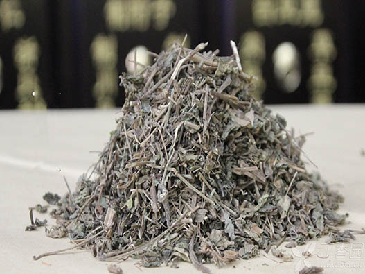 绞股蓝商标注册哪一类？