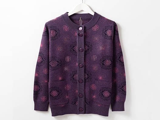 中老年服装商标注册哪一类？