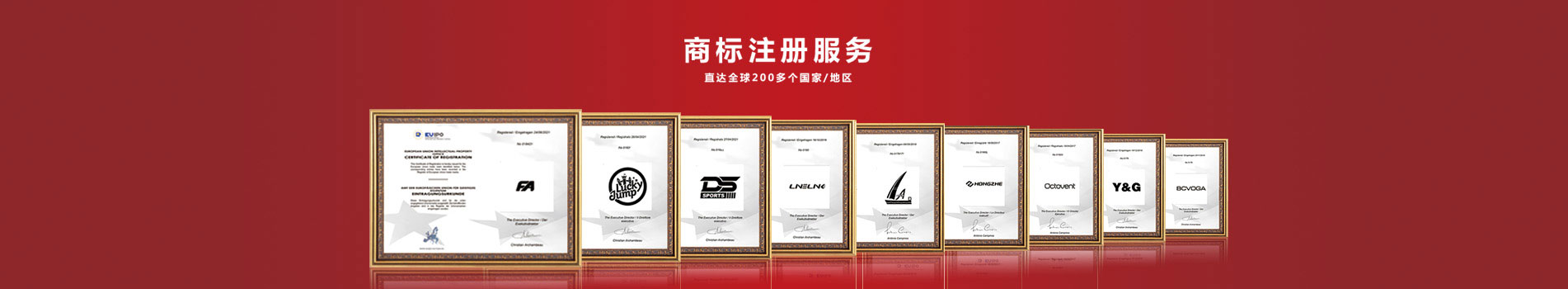 商标案件2021