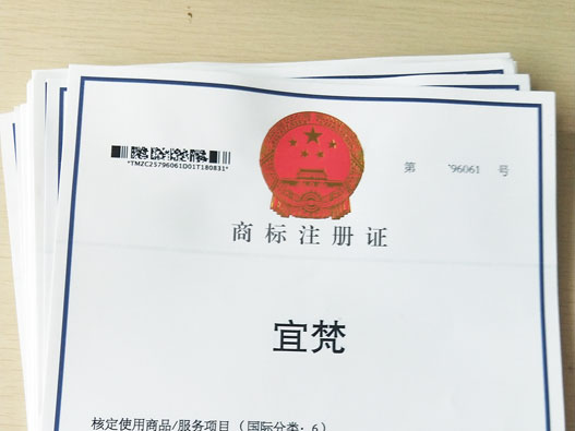 商标异议全解析：流程、常见问题及成功率