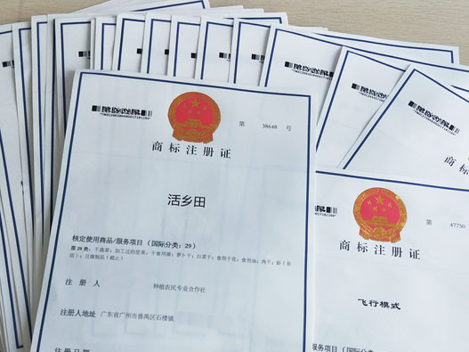 广州越秀区商标注册代理机构