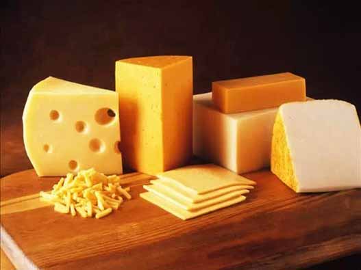奶酪商标注册的材料是什么？