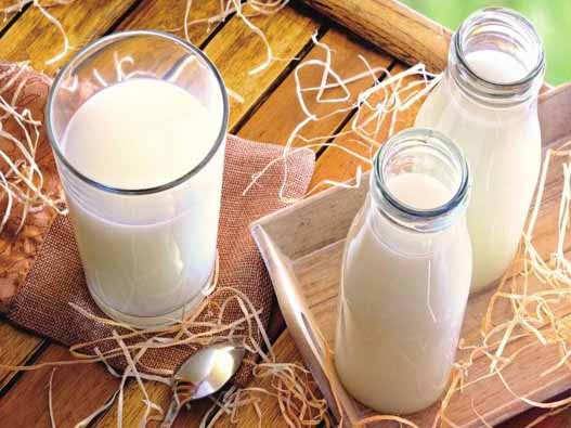 牛奶商标注册的材料是什么？