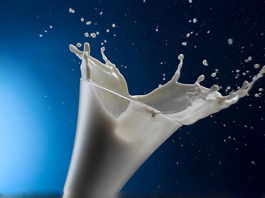 奶饮料商标注册哪一类？