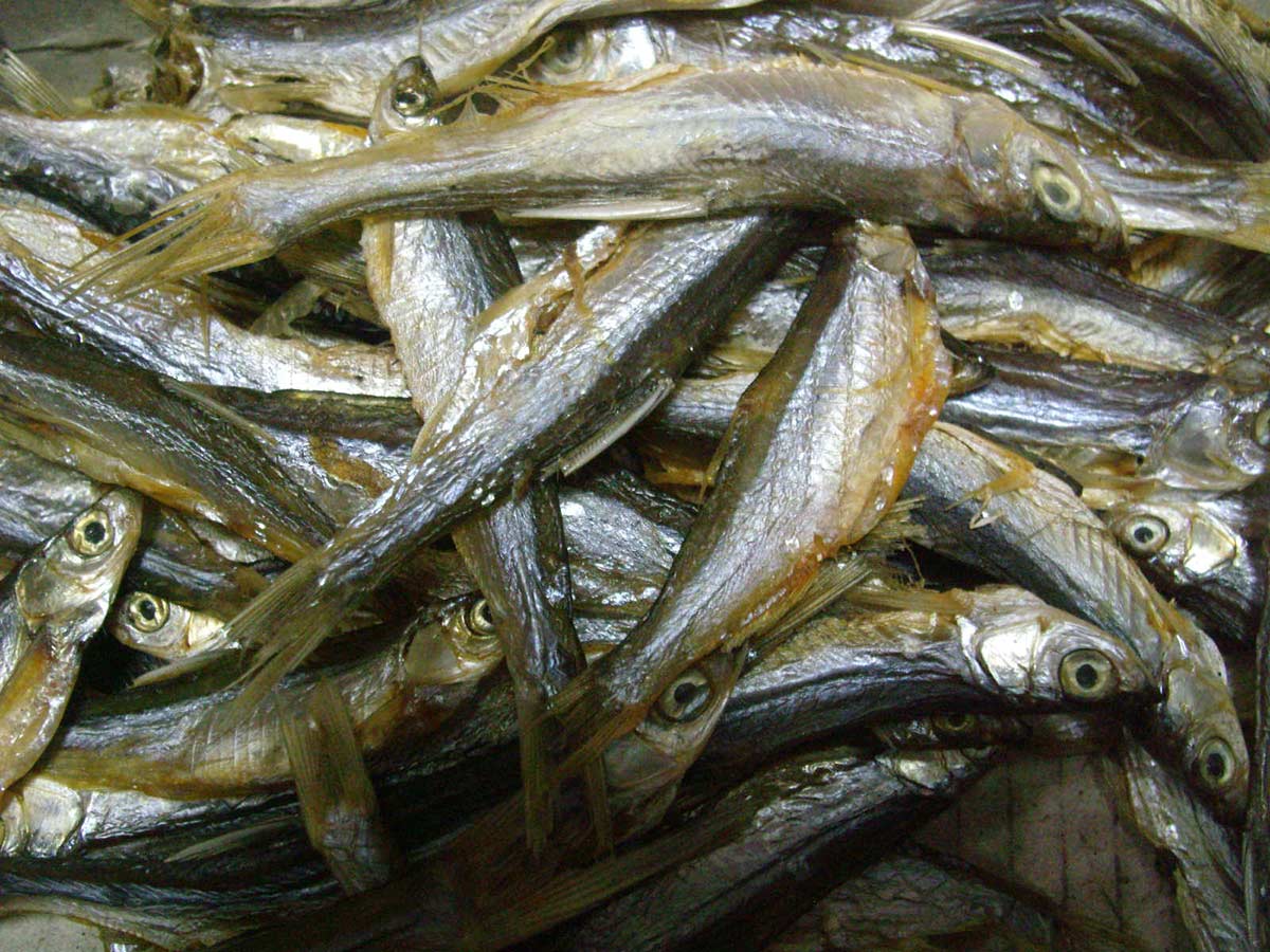 鱼制食品商标注册