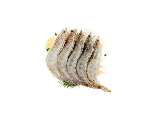 虾商标注册哪一类？