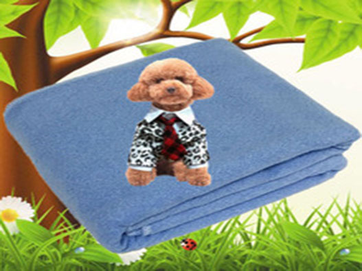 宠物毯子商标注册属于哪一类？