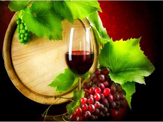 葡萄酒商标注册属于哪一类？