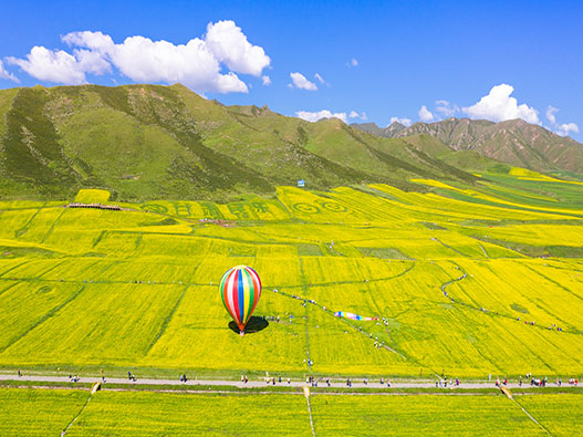 旅行服务公司商标注册哪一类？