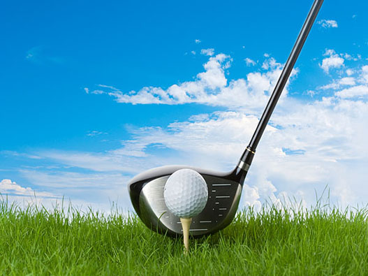 高尔夫球商标注册属于哪一类？