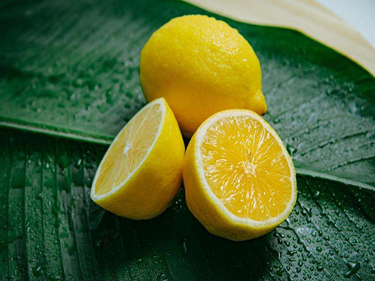 柠檬商标注册属于哪一类？