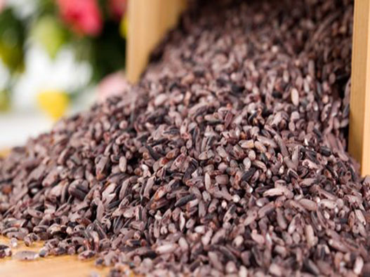紫红米商标注册属于哪一类？