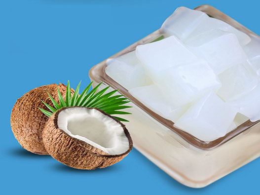 椰子罐头商标注册属于哪一类？
