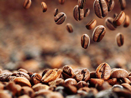 咖啡豆商标注册属于哪一类？