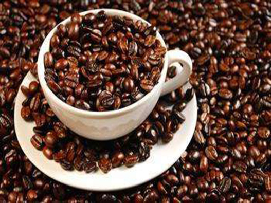 爪哇咖啡商标注册属于哪一类？