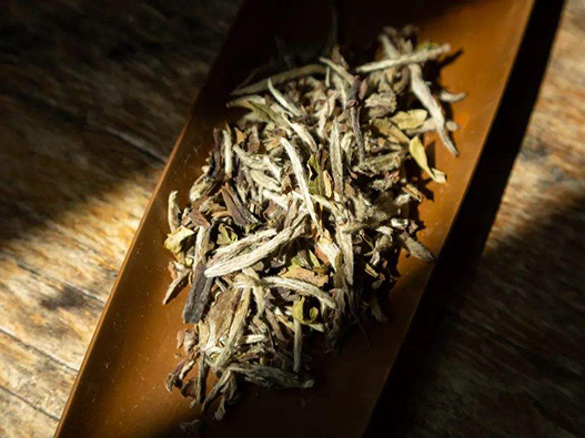 白牡丹茶商标注册