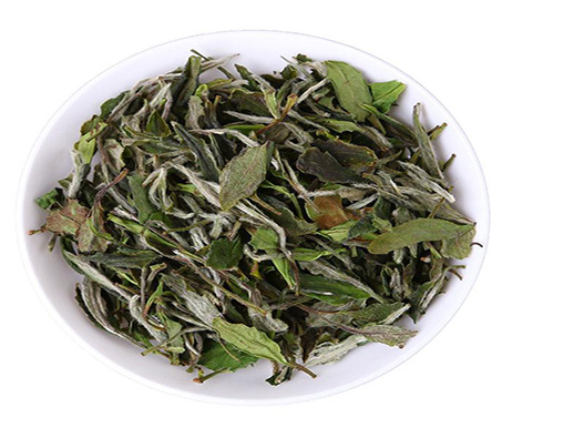白牡丹茶商标注册