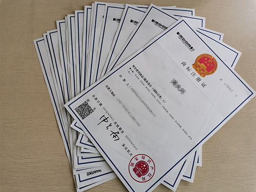 商标驳回复审全流程指南：应对策略与常见问题解答