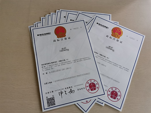 商标驳回复审全指南：关键问题与应对策略