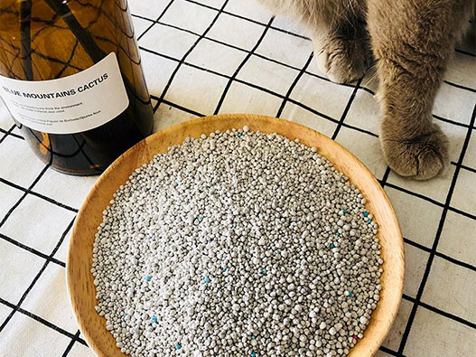 猫砂商标注册哪一类？