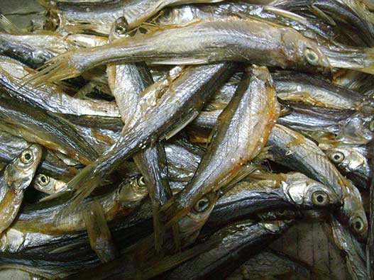 鱼制食品商标注册哪一类？