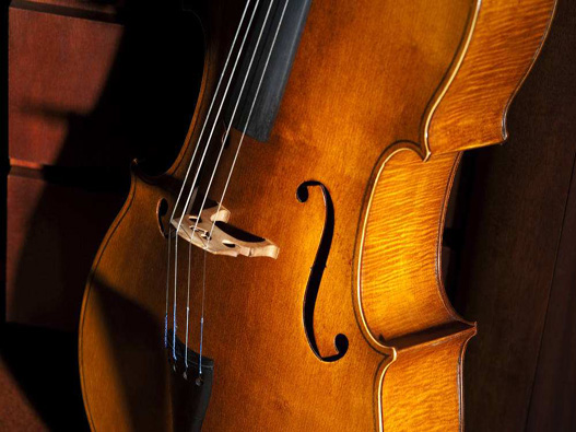 大提琴培训商标注册哪一类？