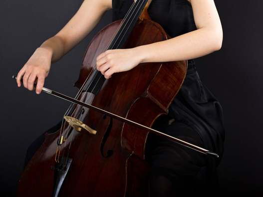大提琴商标注册的步骤有哪些？