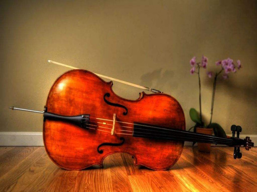 注册大提琴商标