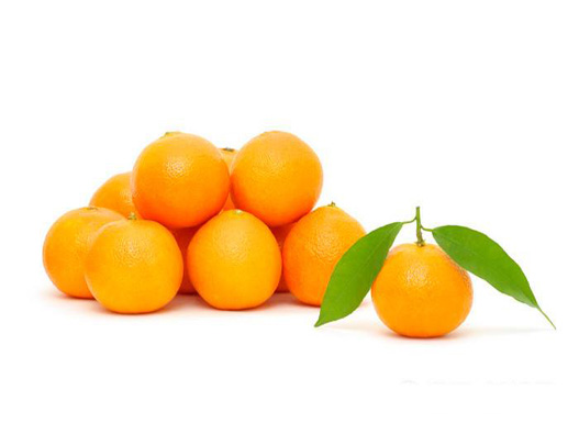 柑橘商标注册哪一类？
