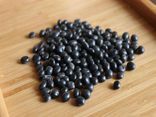 黑豆种子
