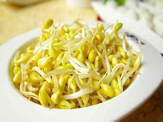 黄豆芽