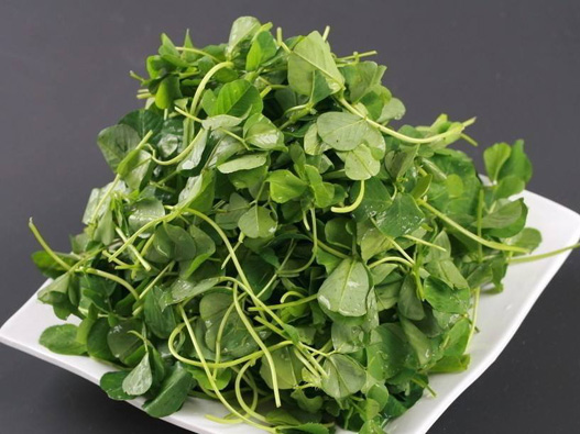 金花菜商标注册属于哪一类？