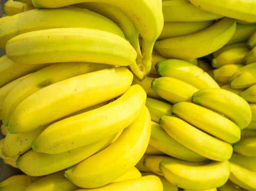注册香蕉商标