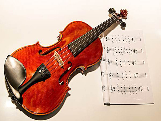 小提琴商标注册要多少费用？