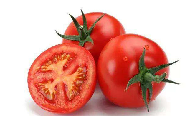 西红柿商标注册属于哪一类？