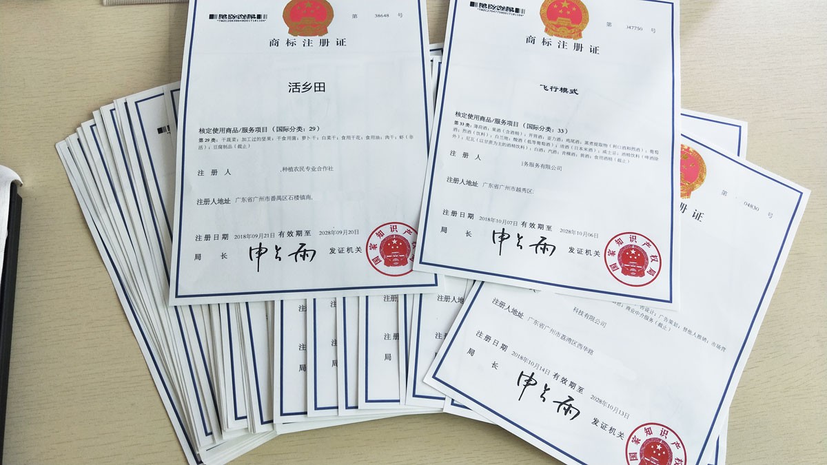 委托设计Logo未约定著作权归属，注册商标被设计方以在先著作权宣告无效&mdash;&mdash;图形商标在先著作权冲突实务案例解析