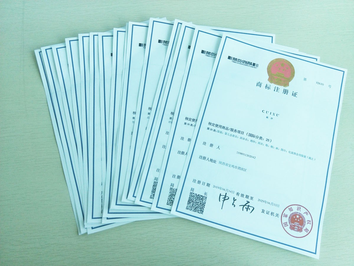 商标注册申请被&ldquo;不予受理&rdquo;，原申请日还能保住吗？&mdash;&mdash;商标申请不予受理实务案例解析