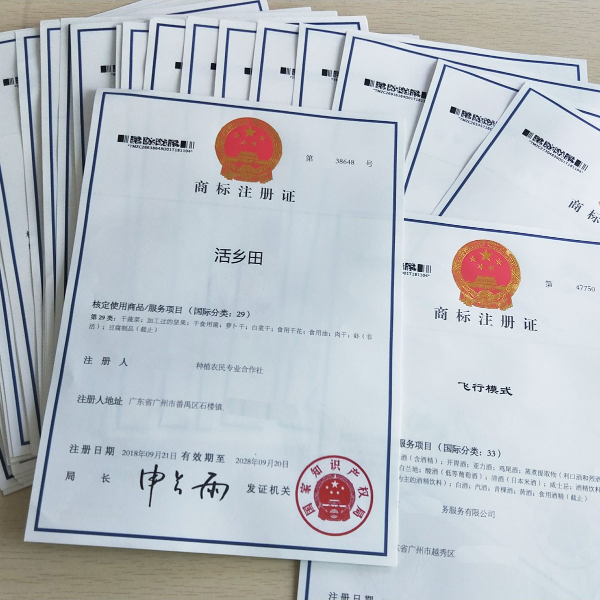商标被他人抢注成域名或公众号名称，还能要回来吗？